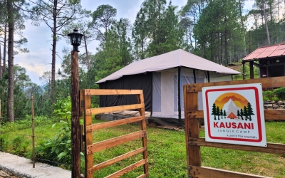 Exterior view of Kausani Jungle Camp amidst pine trees and misty mountains